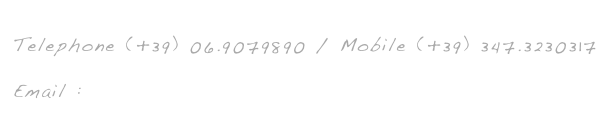 Telephone (+39) 06.9079890 / Mobile (+39) 347.3230317   
Email : motolesefrancesco@tiscali.it
